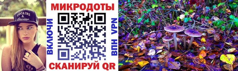 МЕГА ТОР  Лесной  Псилоцибиновые грибы мицелий 