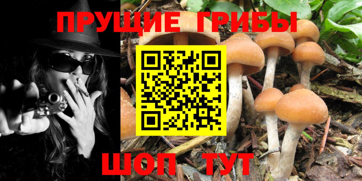 Псилоцибиновые грибы MAGIC MUSHROOMS  Вход с VPN  Лесной 