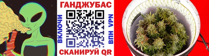 Бошки марихуана сатива Лесной