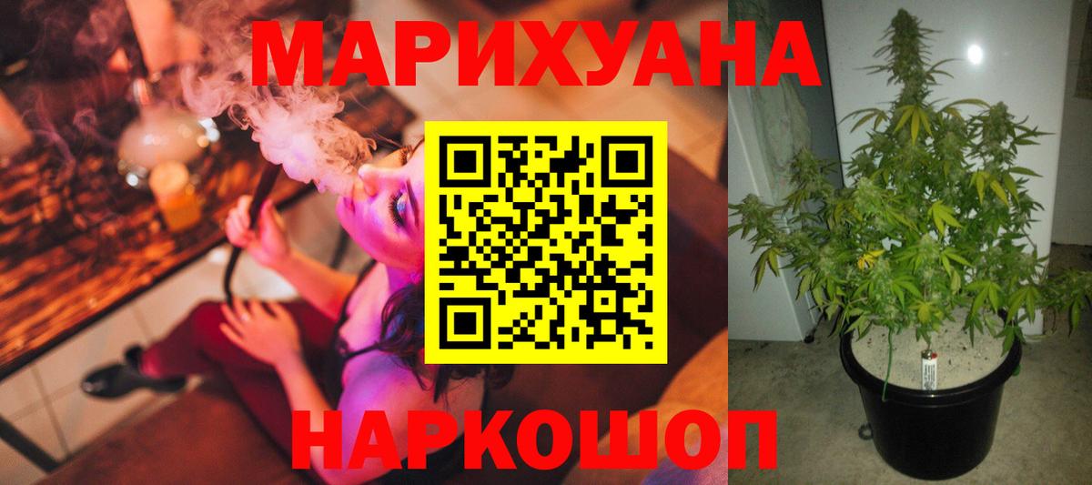 Шишки марихуана план  Вход с VPN  Лесной  Бошки марихуана сатива  Каннабис планчик  Канабис Amnesia 